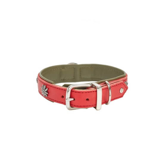 Laboni Edelweiss Dog Collar - Agof Store