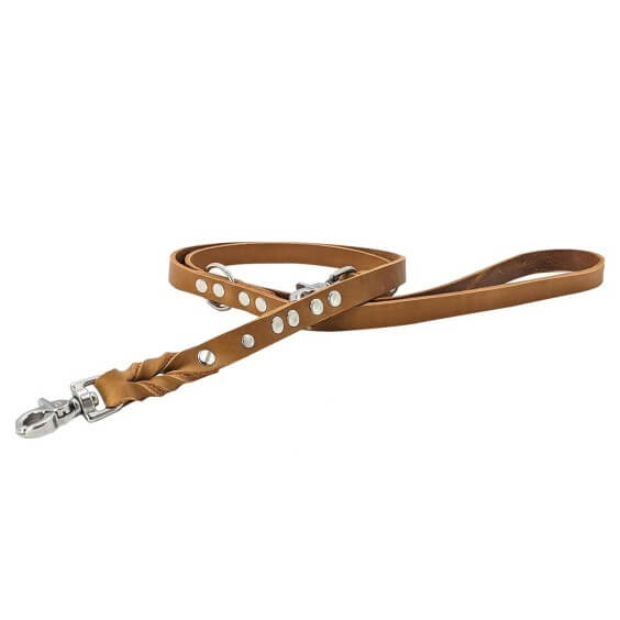 Laboni Giro Dog Lead - Agof Store