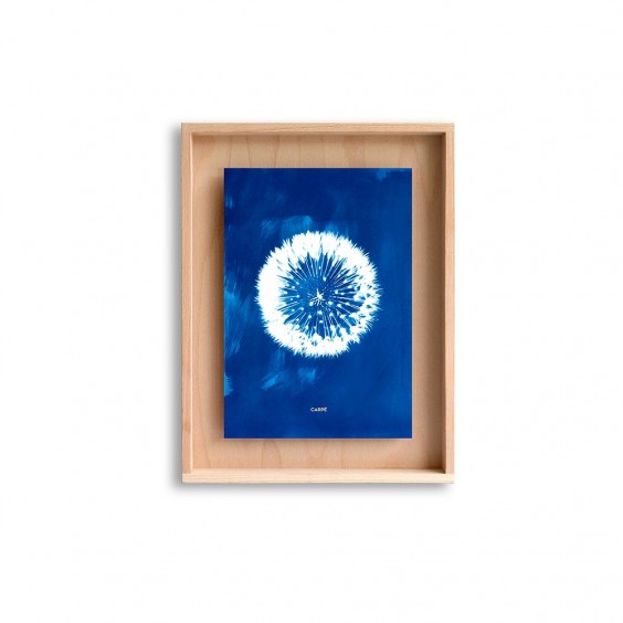 SWAB DESIGN Cyanotype 30x40 | Painting | Agof Store