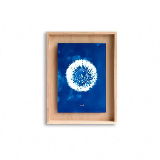 SWAB DESIGN Cyanotype 30x40 | Quadro | Agof Store