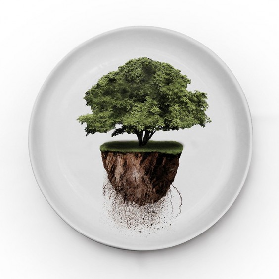 SA13 You are not here Tree | Piatto Ø24 Cm | Agof Store