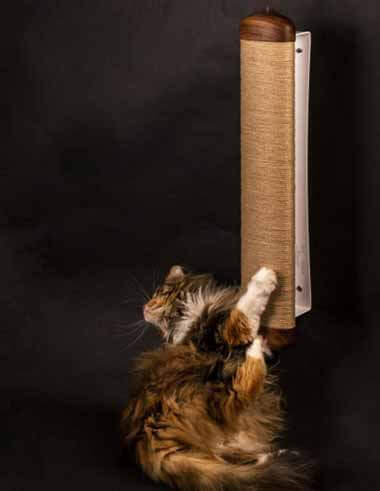 cat scratcher